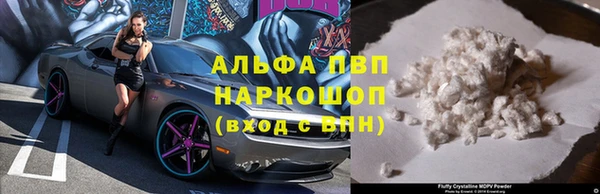 спайс Няндома