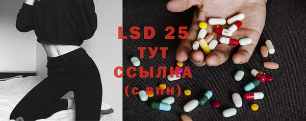 спайс Няндома
