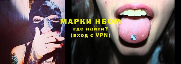 спайс Няндома