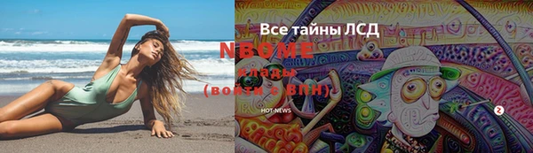 спайс Няндома