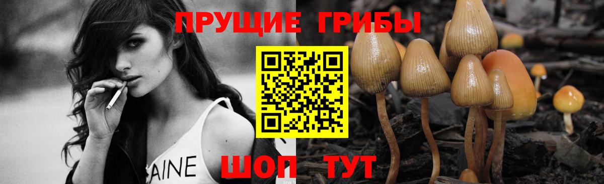 Галлюциногенные грибы Magic Shrooms  Вход с VPN  Усолье-Сибирское 